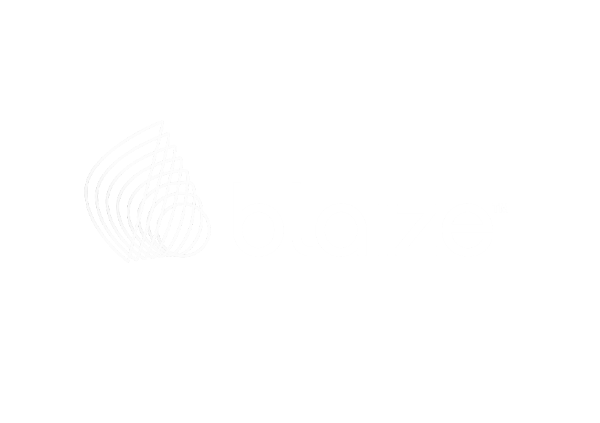 Blaize