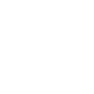 DreamBig Semiconductor logo, a Samsung Catalyst Fund portfolio company in the AI Interconnect sector.