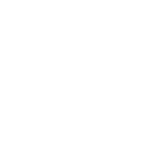 Teramount logo, a Samsung Catalyst Fund portfolio company in the AI Interconnect sector.
